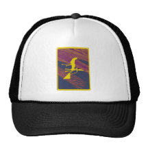Ski the Control Mesh Hat