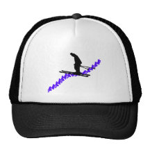 sKi the dreamer Hat