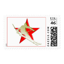 Skier Postage