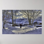 skier's vista posters