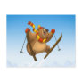 Skiing Bear Postcards