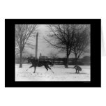 Skiing Behind Horse Washington, DC 1919 Card