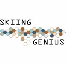 Skiing Genius photo sculptures by itsallhot Skiing Genius photo sculptures