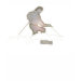 Ladies Baby Doll (Fitted)