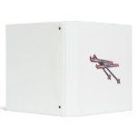 Skiis binders