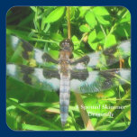 Skimmer Dragonfly Sticker stickers
