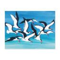 Skimming the Surface postcards by BarbaraBayerArt Skimming the Surface postcards