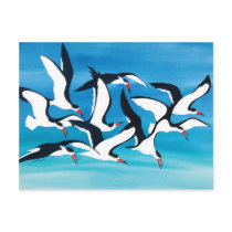Skimming the Surface postcards by BarbaraBayerArt Skimming the Surface postcards