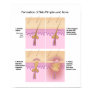 beauty, body, care, problem, skincare,