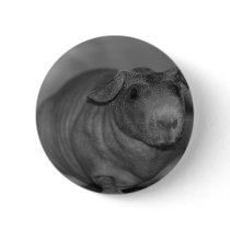 Skinny Pig in black and White Button