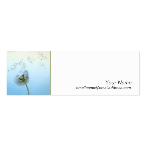Skinny Profile Card - make a wish Business Cards (front side)