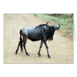 skinny wildebeest greeting cards skinny wildebeest greeting cards