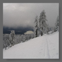 Skintrack @ Hull Mountain photo enlargement posters