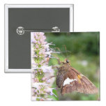 Skipper Butterfly On Agastache Pinback Buttons