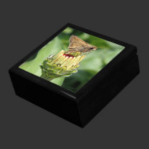 'Skipper on a Zinnea Bud' gift boxes