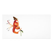 Skipper on Orange Tiger Lily photo cards