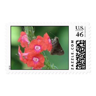 Skipper on Vervain Postage by naturegirl7