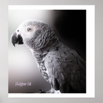 SkipperDone Posters