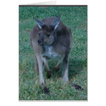Skippy  kangaroo Card