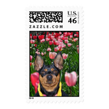 Skiptoe through the tulips postage