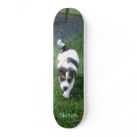Skitch Board Skateboard Decks
