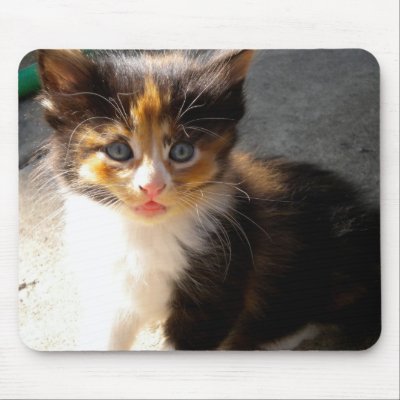 Skittles Mousepad by Veroshi