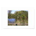 Skokie Lagoon-Bike Trail posters by Jedierica Skokie Lagoon-Bike Trail posters