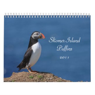 Skomer Island Puffins 2011 Calendar calendar