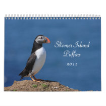 Skomer Island Puffins 2011 Calendar