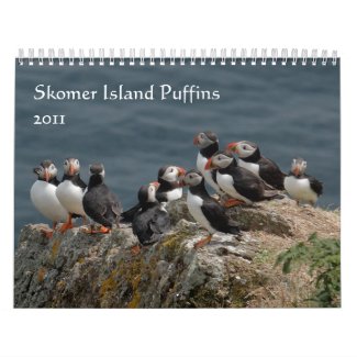 Skomer Island Puffins 2011 calendar