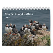Skomer Island Puffins 2011 Wall Calendars