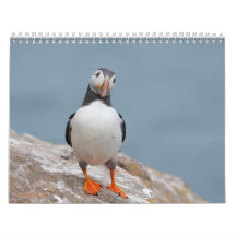Skomer Island Puffins 2012 Calendar