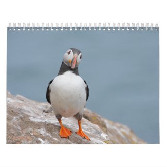 Skomer Island Puffins 2012 Calendar calendar