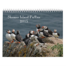 Skomer Island Puffins 2013 Wall Calendars