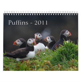 Skomer Island Puffins Calendar calendar
