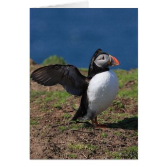 Skomer Island Puffins card