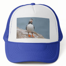 Skomer Island Puffins Mesh Hat