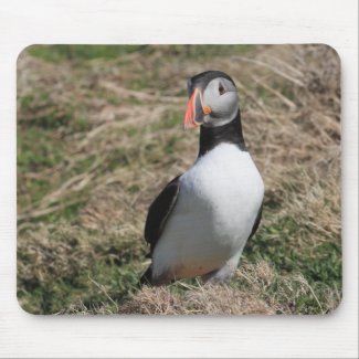 Skomer Island Puffins mousepad