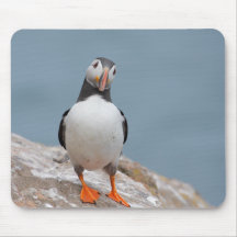 Skomer Island Puffins Mousepads