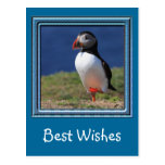 Skomer Island Puffins Post Cards