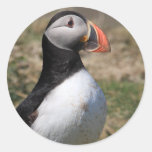 Skomer Island Puffins Round Sticker