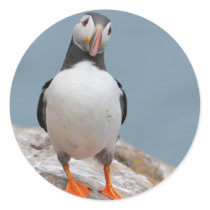 Skomer Island Puffins Round Stickers