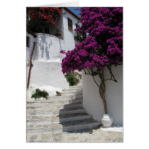 Skopelos Greece cards