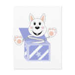 Skrunchkin Rabbit Cotton In Blue Box Postcards