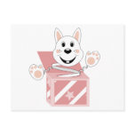 Skrunchkin Rabbit Cotton In Pink Box Post Card