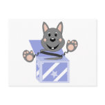 Skrunchkin Rabbit Kasper In Blue Box Postcards