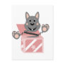 Skrunchkin Rabbit Kasper In Pink Box Postcards