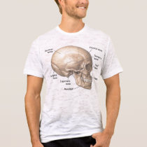 Skull Anatomy vintage style mens tshirt