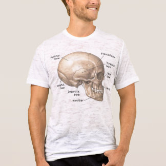 vintage anatomy t shirt