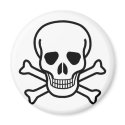 Skull and cross bones magnets